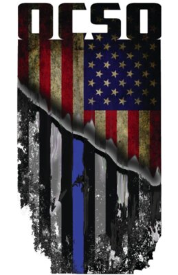 photo flag vertical ocso INTEGRATE