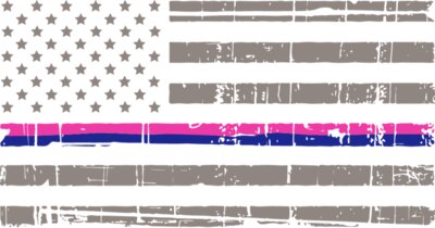 blue and pink lives regular flag horizontal